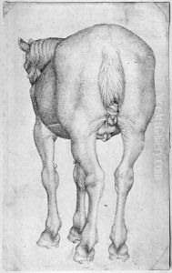 Horse, from the The Vallardi Album