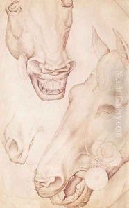 Heads of Horses, from the Vallardi Album by Antonio Pisano (Pisanello)