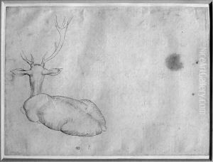 Resting stag, seen from behind, from the The Vallardi Album by Antonio Pisano (Pisanello)