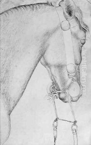 Head of a horse, from the The Vallardi Album