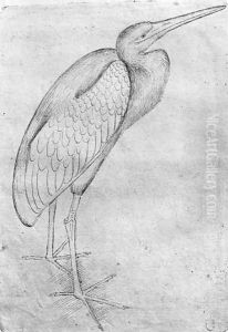 Pelican, from the The Vallardi Album