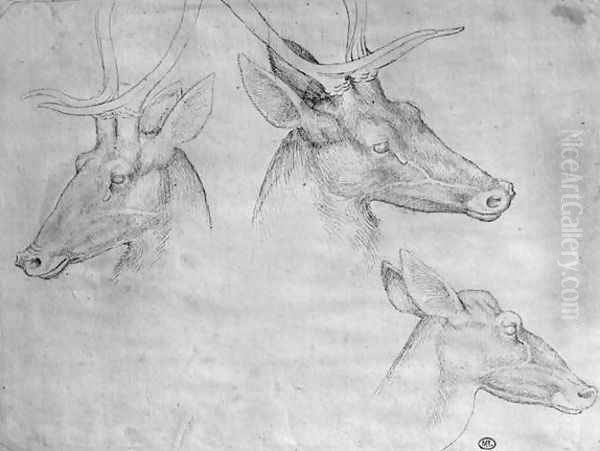 Two heads of stags, one head of a doe, from the The Vallardi Album - view 1