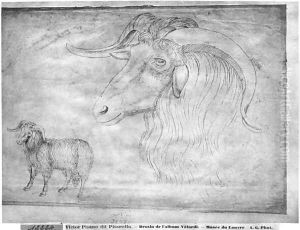Ram and head of a ram, from the The Vallardi Album by Antonio Pisano (Pisanello)