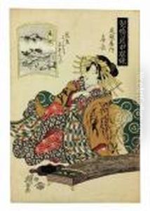 Maki No Mori (maki Forest), From The Series Shunkei Senja Mode