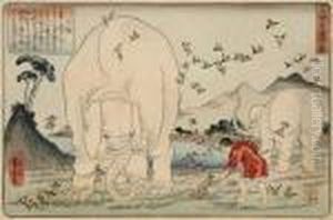 Taishun