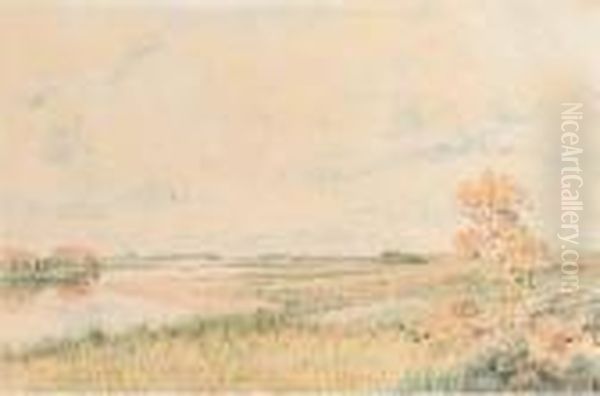 Landscape - view 1