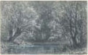 Saule En Bord De Riviere Saule En Bord De Riviere