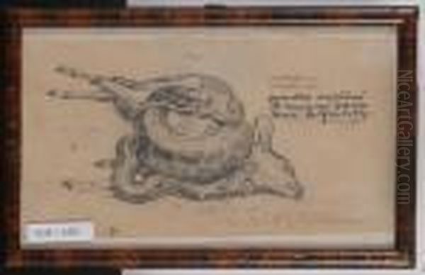 Study Of A Boa Eating A Gazelle. 28 Sept. 1912. - view 1