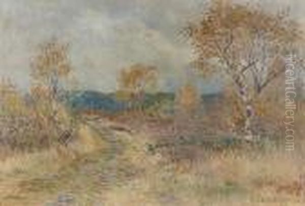 Herbstliche Heidelandschaft. - view 1
