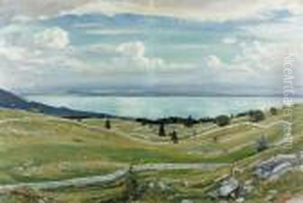 "lacs De Neuchatel Et Morat Vus Du Mont Racine". - view 1