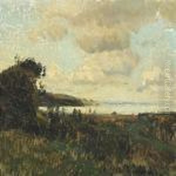View From The Bay Of Aarhus - view 1
