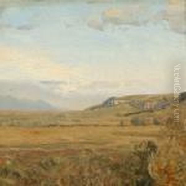 Danish Summer Landscape - view 1
