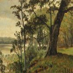 Forest Scenery With A Lake