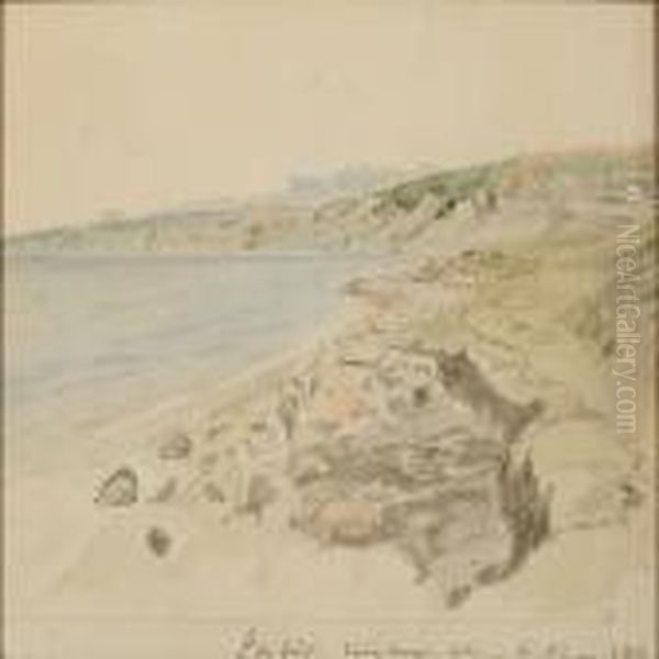 Coastal Scene From Jutland - view 1