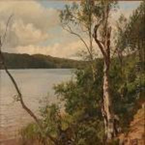 Summer Day At A Danish Lake by Janus Andreas Bartholin La Cour