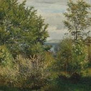 Summer Landscape