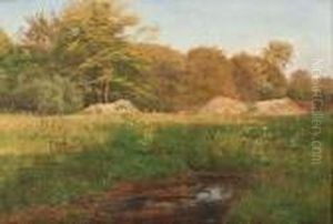 Wiesengrund Am Waldrand Wiesengrund Am Waldrand