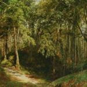 Sunny Forest Scenery by Janus Andreas Bartholin La Cour