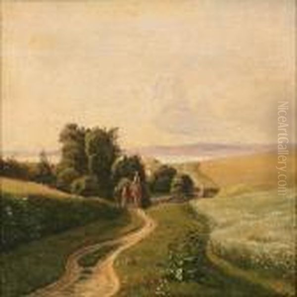 Summer Day At Mols,denmark - view 1