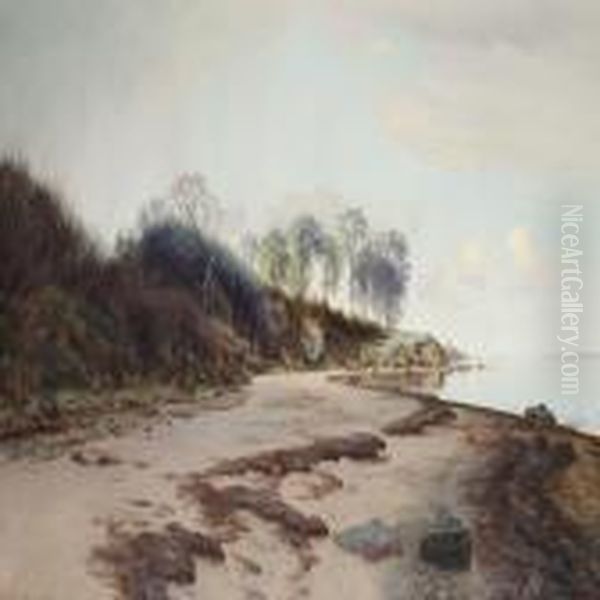 Quiet Afternoon At Moesgaard Beach - view 1