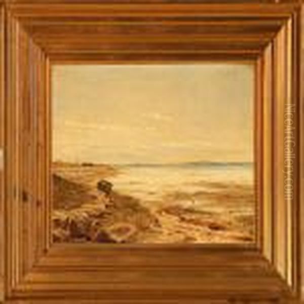 Coastal Scene At Summer Time - view 1