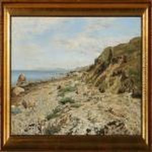 Stony Beach