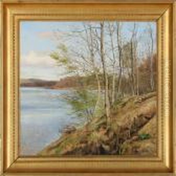 Spring Day In The Woods - view 1