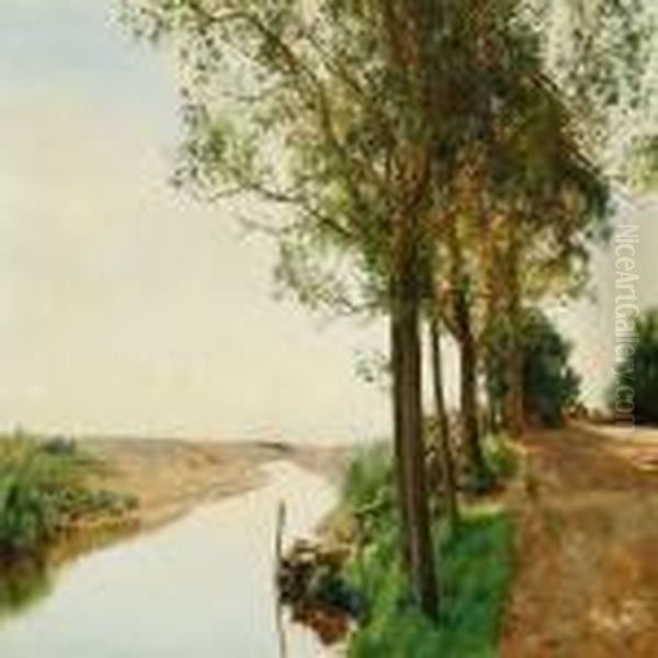 The Creek In Moesgaard Forest - view 1