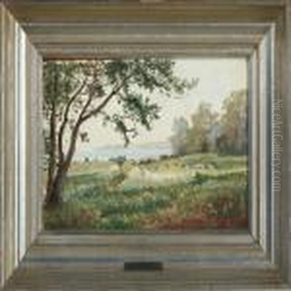 Landscape - view 1