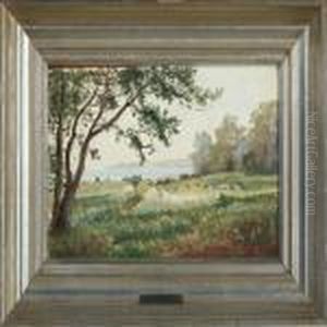 Landscape Landscape