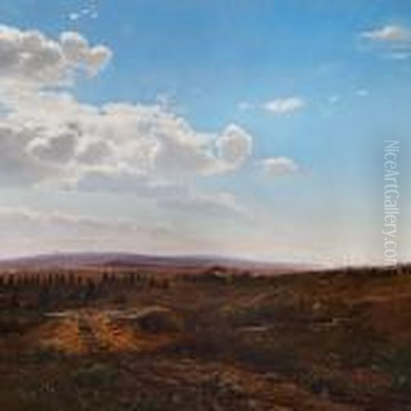 An Early Summermorning - view 1