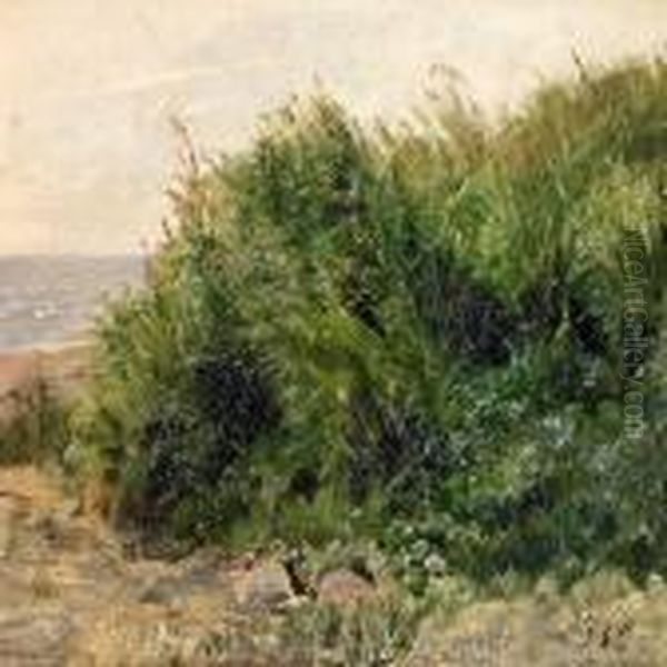 Scenery From The Beach, In The Foreground Stones And Rush - view 1