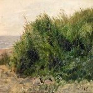 Scenery From The Beach, In The Foreground Stones And Rush by Janus Andreas Bartholin La Cour
