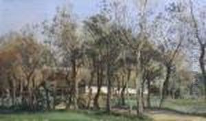 Maj 1889 J La Cour by Janus Andreas Bartholin La Cour