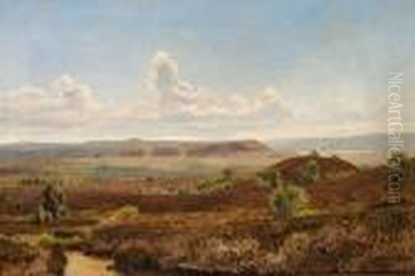 Jutlandic Landscape - view 1