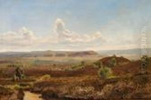 Jutlandic Landscape