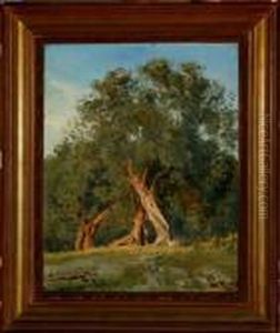 A Study Of An Old Tree by Janus Andreas Bartholin La Cour