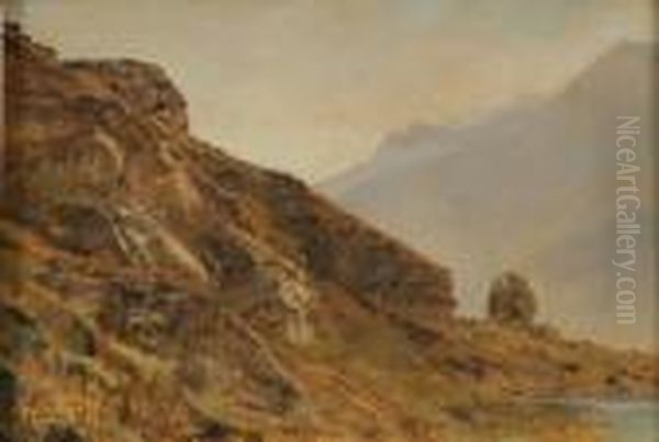 Mountain Slope - view 1