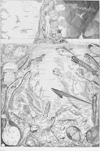 Andromede - view 1