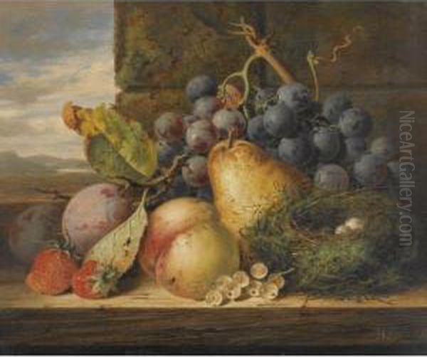 Still Life With A Bird's Nest, A Pear, A Peach, Grapes,strawberries And Plums - view 1