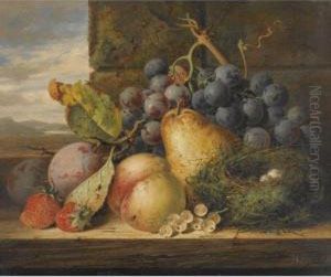 Still Life With A Bird's Nest, A Pear, A Peach, Grapes,strawberries And Plums by Edward Ladell