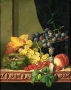 Still Life Of Fruit, Tazza And A Bird's Nest On A Ledge by Edward Ladell
