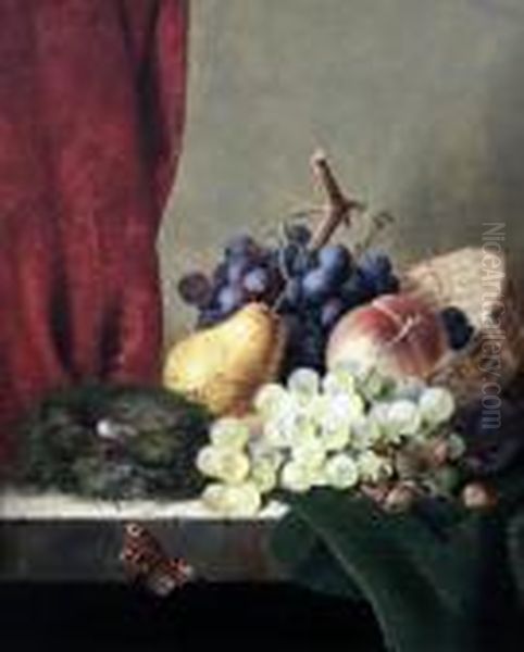 Still Life Of Grapes, Plums, A
Pear, A Peach, Cobnuts And A Birds Nest, On A Ledge With A Butterfly - view 1