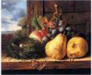 Still Life With A Bird's Nest, Butterfly And Fruit Still Life With A Bird's Nest, Butterfly And Fruit