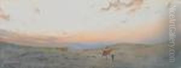A Desert Rider At Dusk - view 1