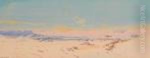 A Desert View