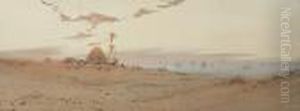 Dawn In The Desert