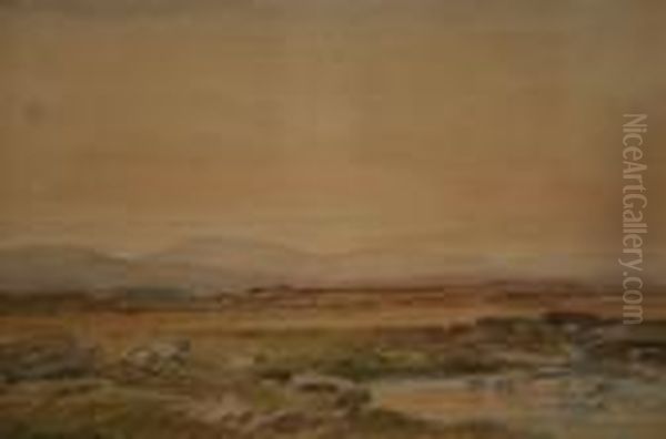 Moorland Scene With Sheep And River - view 1