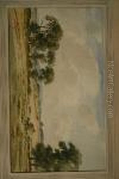 Rural Haymaking Scene With Trees - view 1