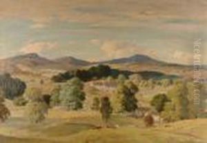 The Hayfield